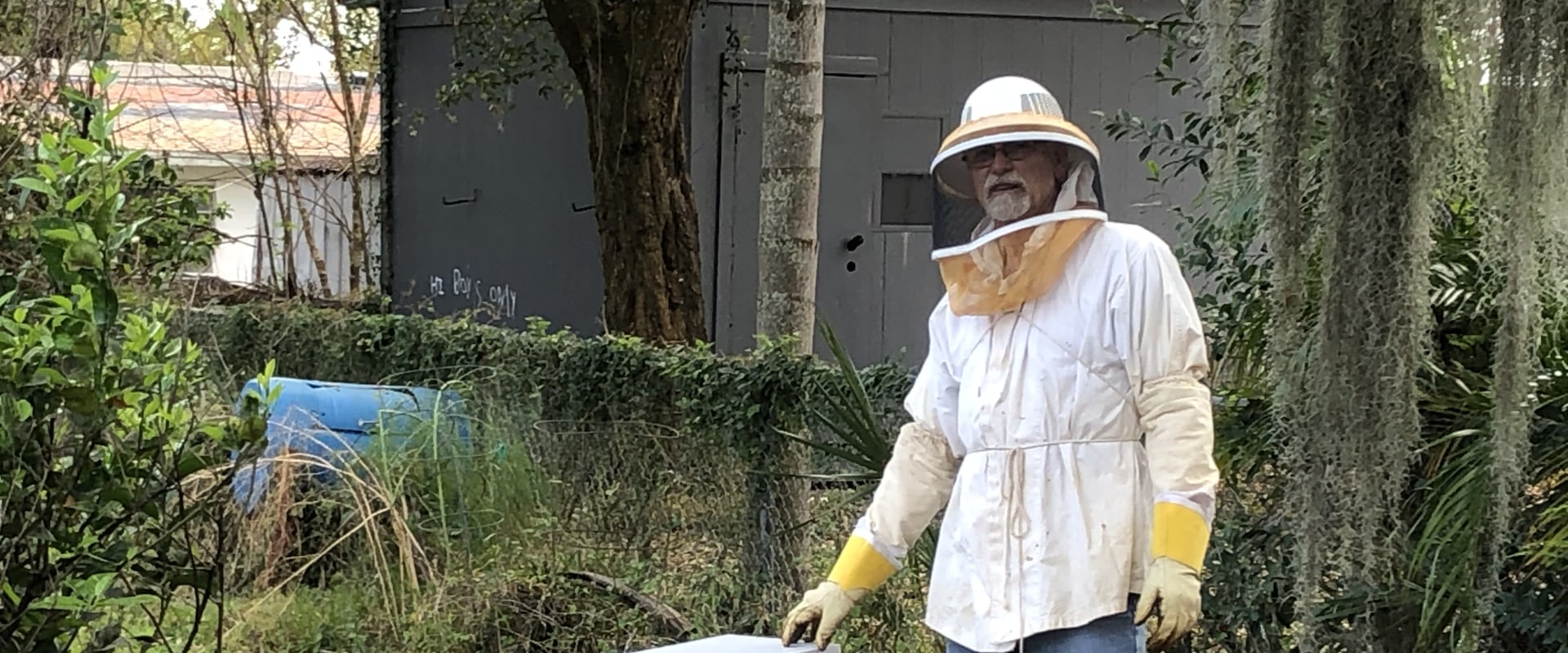 Webinars and Workshops: A Comprehensive Guide to Beekeeping Classes