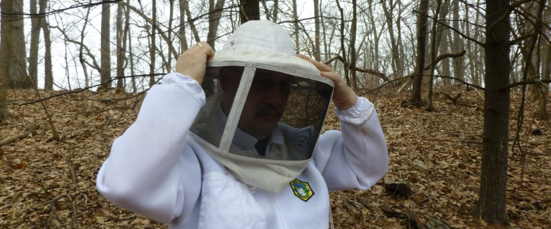 Bee Suits and Veils: Essential Protective Gear for Beekeepers