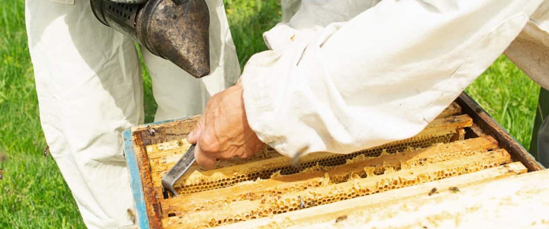 How quickly can bees fill a honey super?