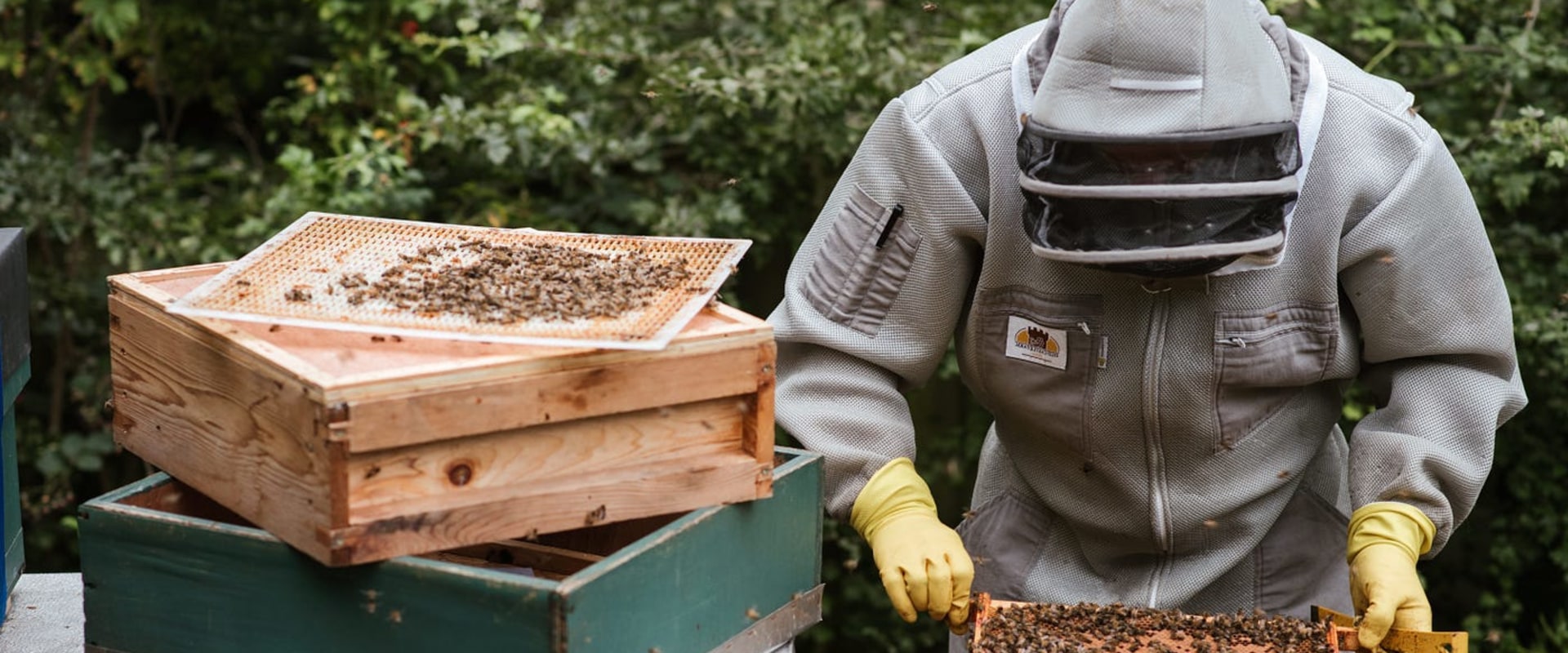 How to Select the Right Equipment for Beekeeping
