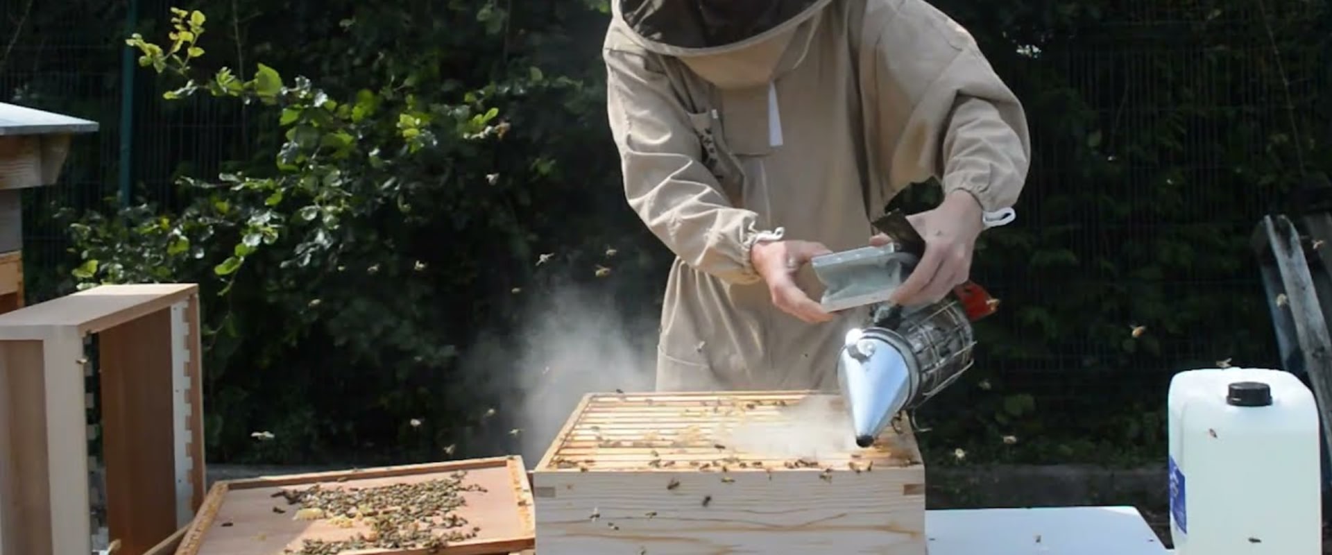 Preparing for Winter: The Essential Guide for Beekeepers
