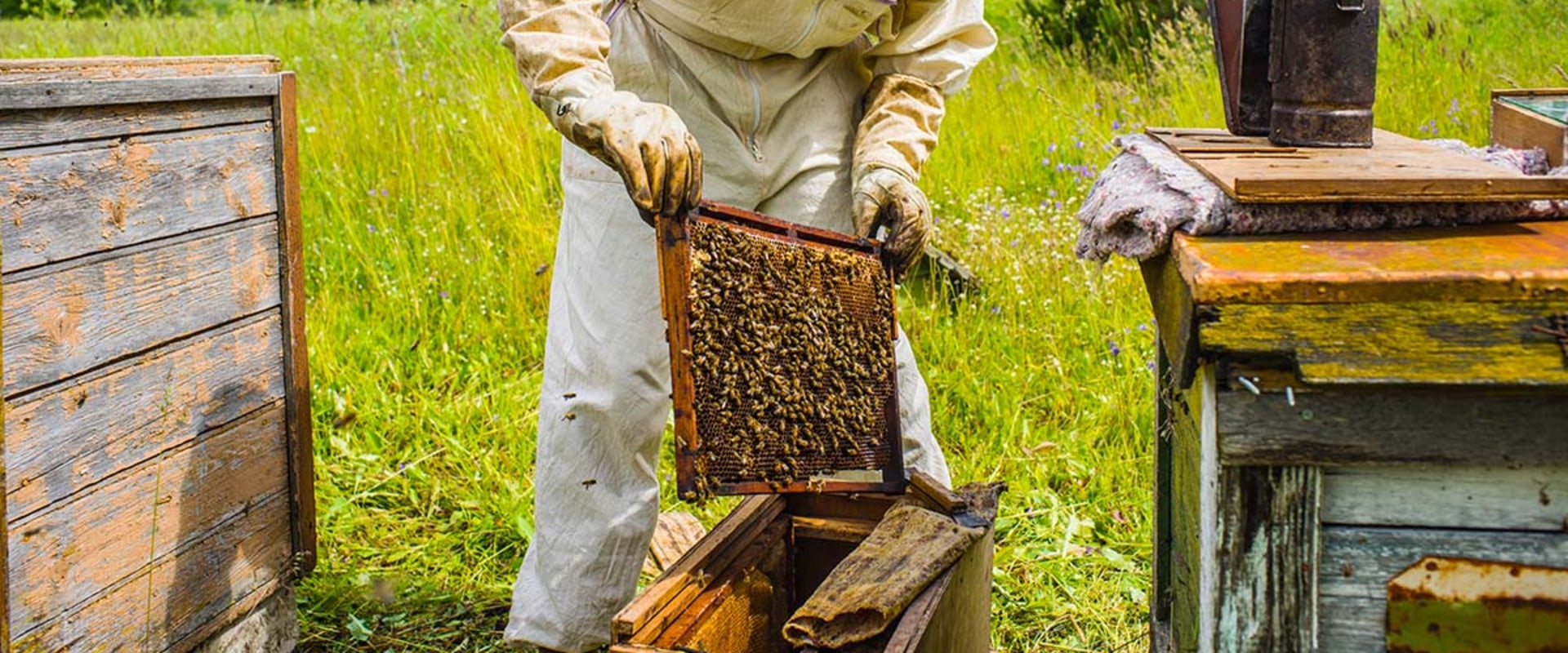 Is it hard to be a beekeeper?