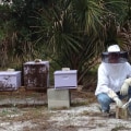 What is the meaning of apiaries?