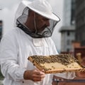 Why is the beekeeping industry in danger?
