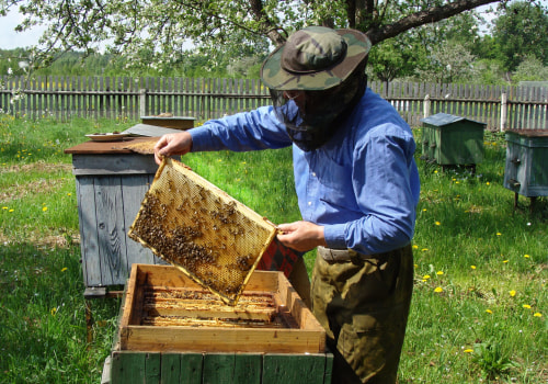 How much money do apiaries make?