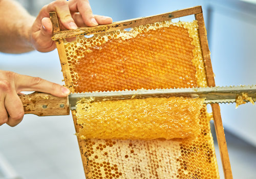 Honey Extraction Methods: A Comprehensive Guide for Beekeepers