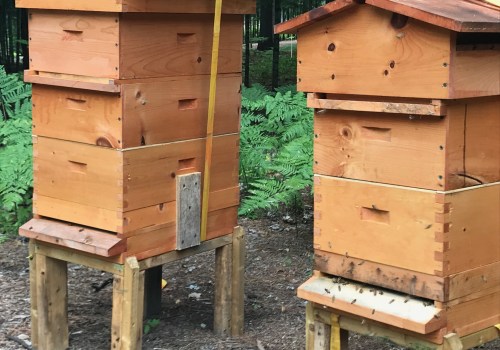 Is it cheaper to build or buy a beehive?